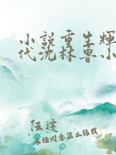 小说重生辉煌时代沈林鲁小荣