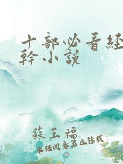 十部必看经典高干小说