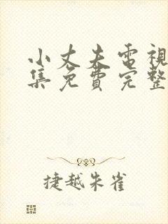 小丈夫电视剧全集免费完整版在线观看