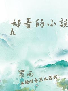 好看的小说言情h