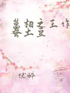 万相之王作者天蚕土豆