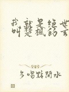我就是绝世天才叫楚枫的玄幻小说