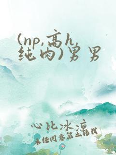 (np,高h,纯肉)男男