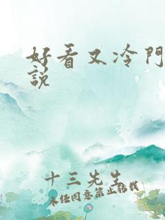 好看又冷门的小说