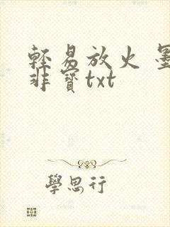 轻易放火 墨宝非宝txt