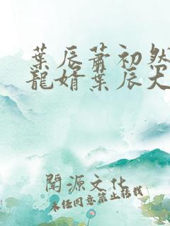 叶辰萧初然上门龙婿叶辰大结局