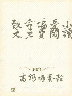 致命偏爱小说全文免费阅读