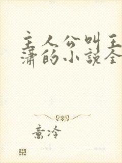 主人公叫王东唐潇的小说全文免费阅读笔趣阁
