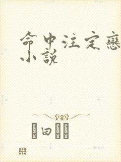 命中注定恋上你小说