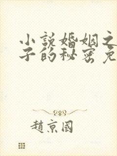 小说婚姻之殇妻子的秘密免费阅读
