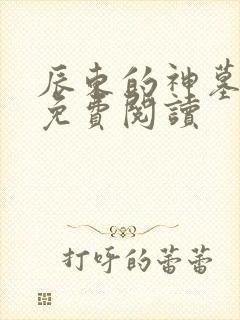 辰东的神墓小说免费阅读
