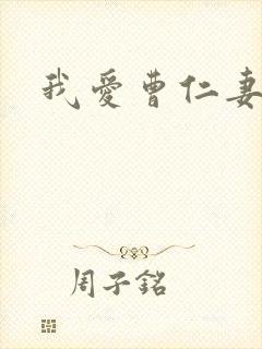 我爱曹仁妻小说