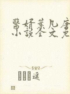 医婿叶凡唐若雪小说全文免费阅读