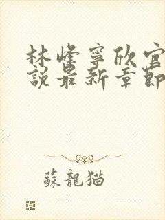 林峰宁欣官场小说最新章节更