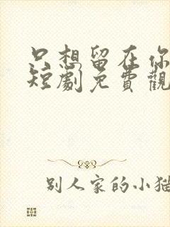 只想留在你身边短剧免费观看全集