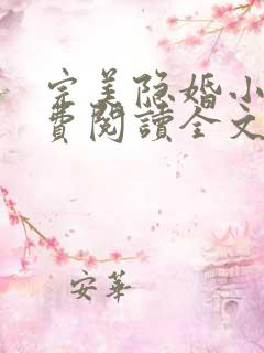完美隐婚小说免费阅读全文