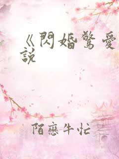 《闪婚惊爱》小说