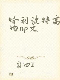 哈利波特高h纯肉np文