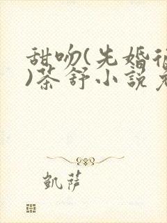 甜吻(先婚后爱)茶舒小说免费阅读