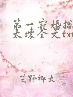 第一宠婚总裁别太坏全文txt