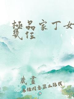 极品家丁女主有几位