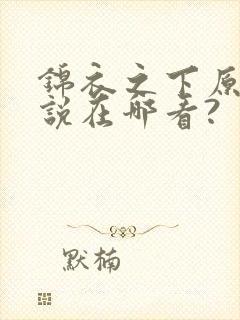 锦衣之下原著小说在哪看?