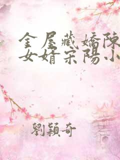 金屋藏娇陈丽珍女婿宋阳小说全集免费阅读