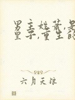 男主姓萧,是三皇子,重生的小说