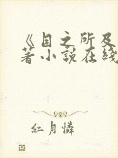 《目之所及》原著小说在线阅读