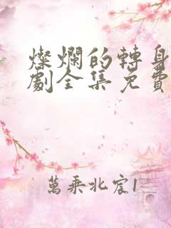 灿烂的转身电视剧全集免费观看