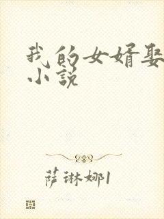 我的女婿娶了我小说