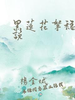 黑莲花拿稳 小说