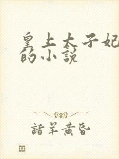 皇上太子妃沈音的小说