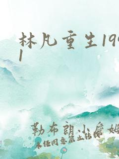 林凡重生1991