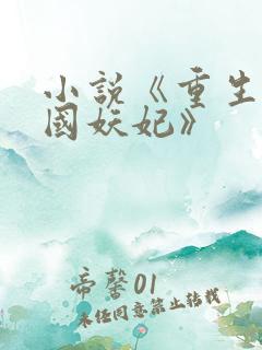小说《重生之祸国妖妃》