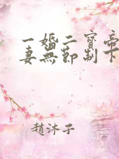 一婚二宝帝少宠妻无节制下载txt