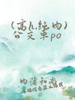 (高h,纯肉)公交车po