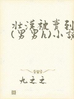 壮汉被卖到山村(男男h)小说