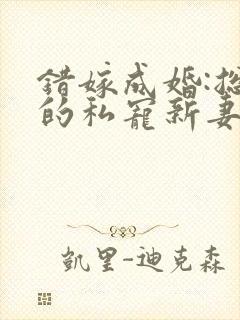 错嫁成婚:总裁的私宠新妻