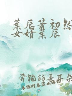 叶辰萧初然上门女婿叶辰