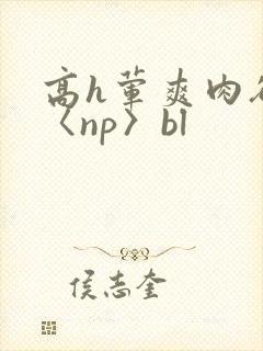 高h荤爽肉欲文〈np〉bl