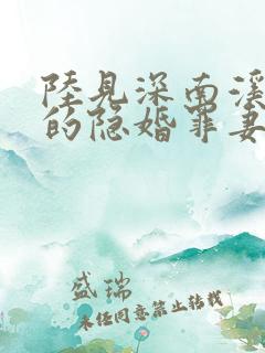 陆见深南溪陆少的隐婚罪妻