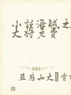 小说海贼之文虎大将免费