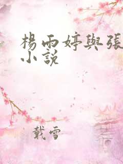 杨雨婷与张书记小说
