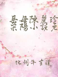 岳母陈丽珍女婿宋阳小说免