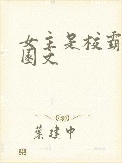 女主是校霸的校园文