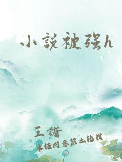 小说被强h