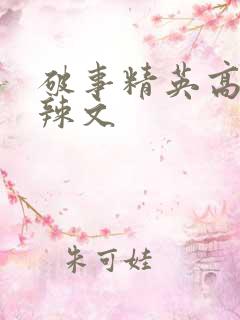 破事精英高h肉辣文