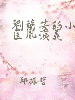 刘兰芳的小说赵匡胤演义