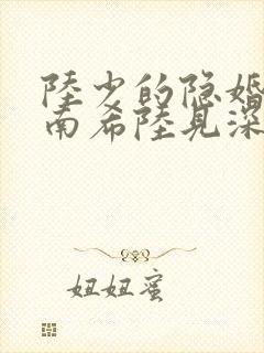 陆少的隐婚罪妻南希陆见深